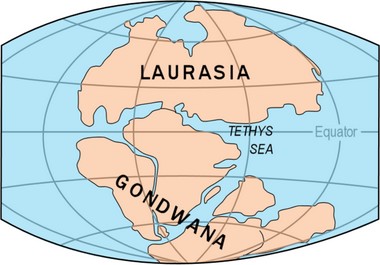 Pangaea Quelle: Wikipedia